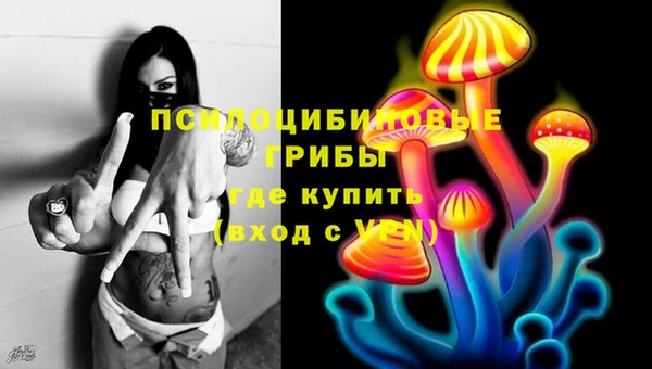 PSILOCYBIN Аркадак
