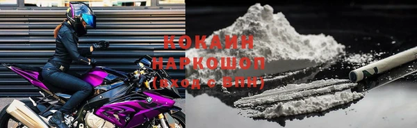 PSILOCYBIN Аркадак