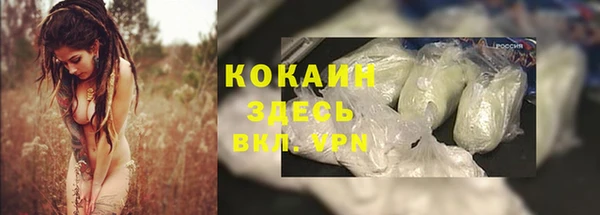 прущая мука Арсеньев