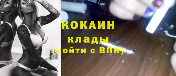 PSILOCYBIN Аркадак
