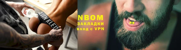 PSILOCYBIN Аркадак